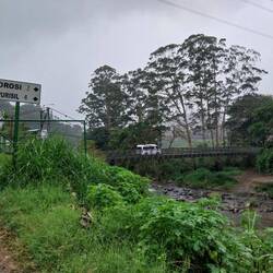 Autobrücke nach Orosi