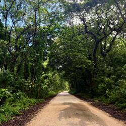 De weg die het eiland doorkruist