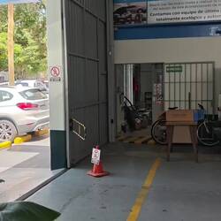 Blaubär rückt zum Wellness ein