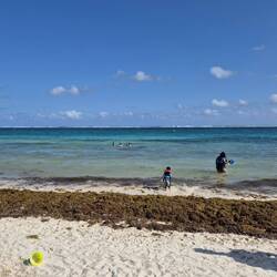 Das Seegras ist leider noch immer da