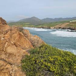 View from point i climbed out to