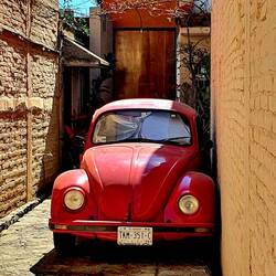 Was war hier zuerst?? Mauer oder Käfer???