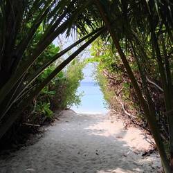 Unser Weg zum Strand