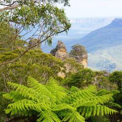 Die drü Schwösterä