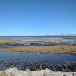 The tide is out and the boat launch is high and dry!