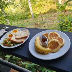 Serviertes Frühstück