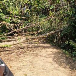 Mit dem Roller gings drunter durch