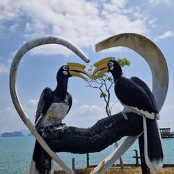 Den haben wir heute auch in live gesehen