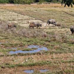 Ausblick beim Frühstück
