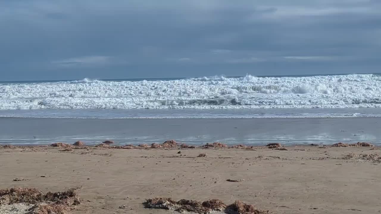 Das Meer ist heute sehr aufgewühlt und hat allerlei Gemüse an den Strand gespült