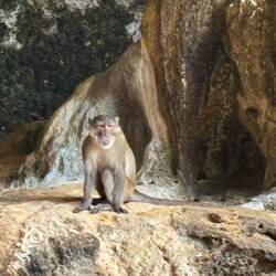 This friendly guy watched us board our boat.