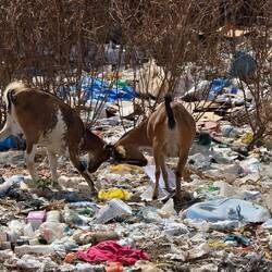 This is the constant picture as we travel through