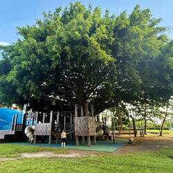 Spielplatz um einen Baum... Sonnenschutz