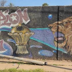 Senegal knew that they would win before the match. They used voodoo on the walls