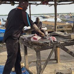 The fish chopper. You bring him your fish and he chops steaks with a panga