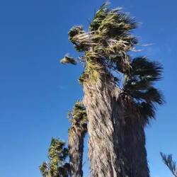 Sturm Harry hat auch heute noch Auswirkungen bis hier runter 🌪️