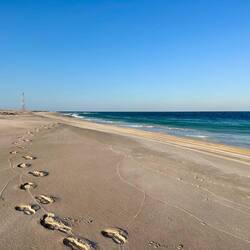 Ras Al-Hadd Beach