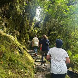 Mein Märchenwald... 😍