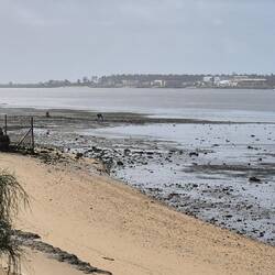 Ebbe. Zwei Männer suchen nach Muscheln, Venusmuscheln (Berberechos), Herzmuscheln und anderen...