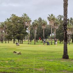 Riesiger Golfplatz ⛳️ .