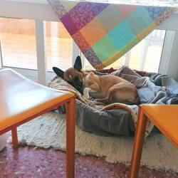 Der beste Platz