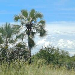es braut sich wieder etwas zusammen