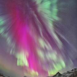Die Farben sind echt! Nur minimale Bildbearbeitung für Schatten und Lichter und Schärfe