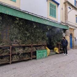 Ein Laden voller Kräuter