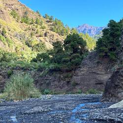 Gegen Mittag ist die Sonne endlich auch fast ins Tal gekommen
