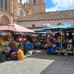 Marché aux fleurs