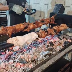 Cochon d'Inde à la broche !!