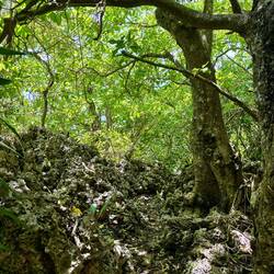 Op weg naar de Talava Arches