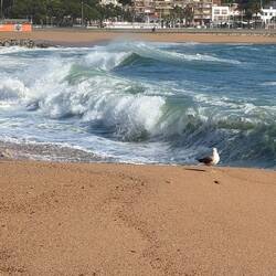 ... die Wellen sind zu gefährlich