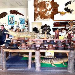 das einzige Krokodil welches wir auf der Reise gesehen haben