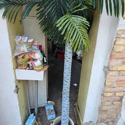 Dazwischen aber immer wieder Müll.