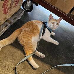 Du kommst da nicht rein.