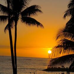 Waikiki Beach Sunset