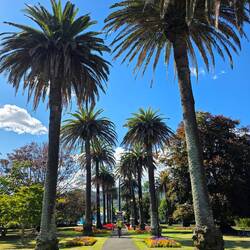 Tom in Anzac Park 😊