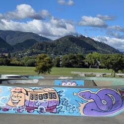 View of the Nelson hills from the skateboard park
