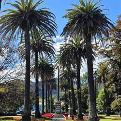 Lovely Anzac Park in Nelson