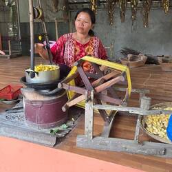 Pods are put on heated water, 20 or more stands joined, then spun