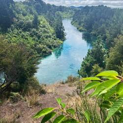 Waikato River