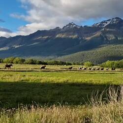 Ahhh, ein herrlicher Morgen