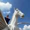 Amanda has always wanted a winged horse