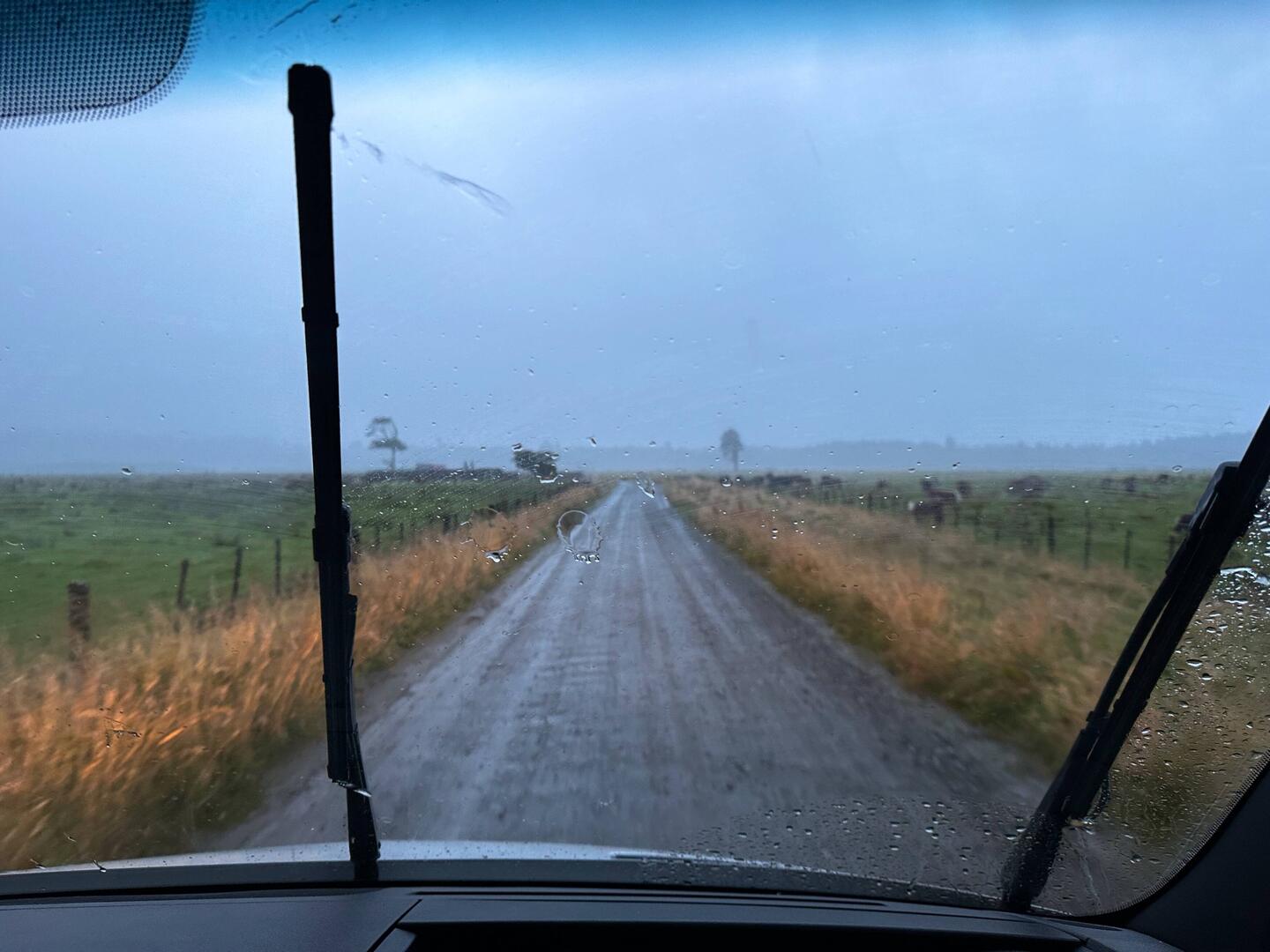 Die fluchtartige Abfahrt bei Regen