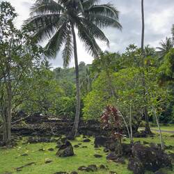 The lava rocks are still visible everywhere. Reminder how life always marches on.