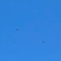 und jetzt wieder in seinem Element