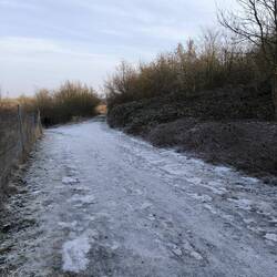 Vereister Weg auf die Deponie