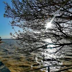 Rückweg vorbei am Vogelschutzgebiet