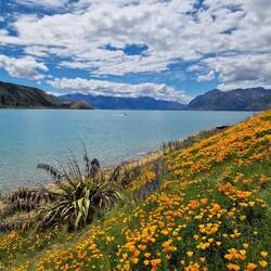 Lake Hāwea